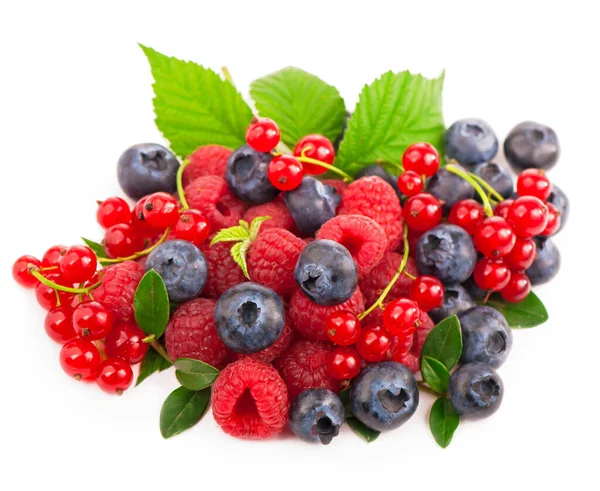 Handful Berries White Background — Stok Foto