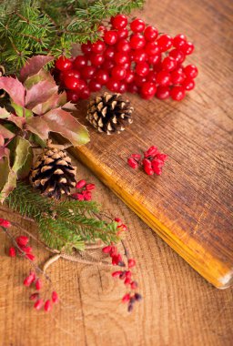 branches of holly, pine cones, mountain ash berries on wooden background