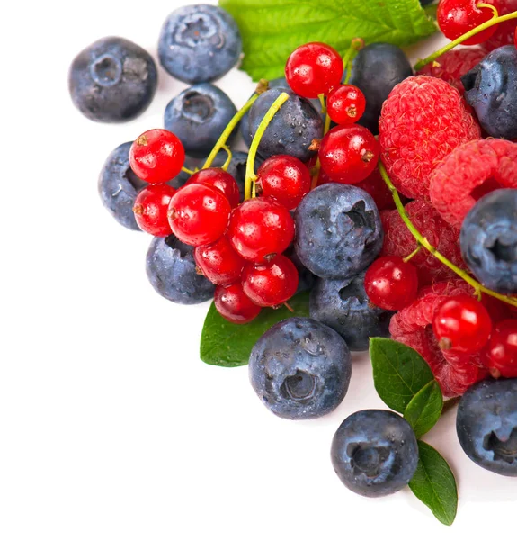 Handful Berries White Background — Stock Photo, Image