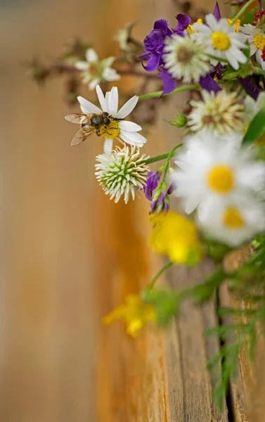 木製の背景上の野生の花の花束 — ストック写真