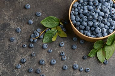 Bir kasede taze toplanmış yaban mersini. Kırsal bir masada yeşil yapraklı sulu ve taze yaban mersini. Ahşap bir arka planda yabanmersini. Yabanmersinli antioksidan..