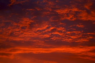 İnanılmaz yaz gündoğumu arka planı. Güzel, yakıcı gün batımı .