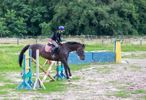 stock image boy on a brown horse breaks a barrier