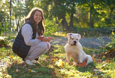 the dog plays with the mistress in the park. Close-up of a woman in a jacket and an American bulldog dog