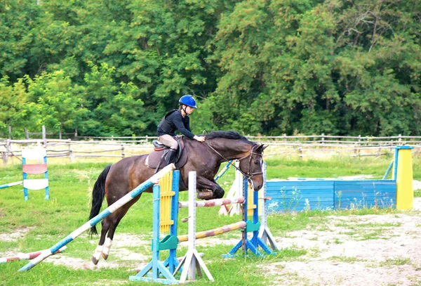 Jovem Cavaleiro Cavalo Pulando Sobre Obstáculo Seu Curso Competição — Fotografia de Stock