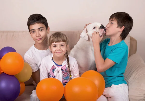 Persone Animali Bambini Felici Allegri Cane Bulldog Americano Siedono Divano — Foto Stock