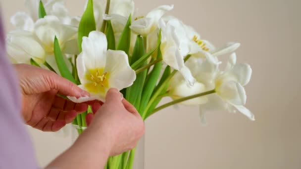 女性は自宅で水と花瓶にチューリップの花の花束を置きます バスケットに拾われた新鮮な白い花 — ストック動画