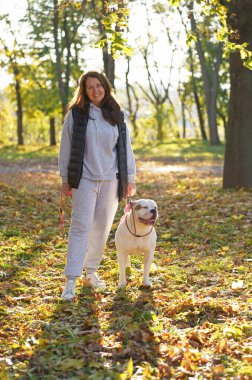 the dog plays with the mistress in the park. Close-up of a woman in a jacket and an American bulldog dog