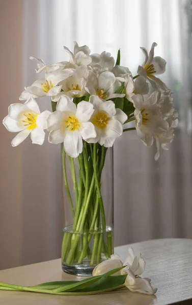 Bouquet Tulipes Blanches Fraîches Dans Vase Verre Sur Fond Blanc — Photo