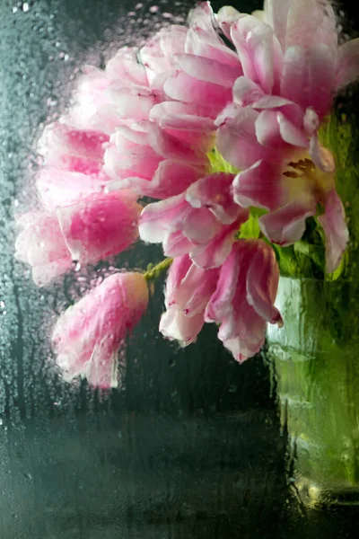 Рожеві Тюльпани Чорному Тлі Через Мокре Скло — стокове фото