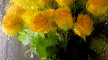 Bir buket gül. Islak camda sarı güller. Yağmurlu hava.