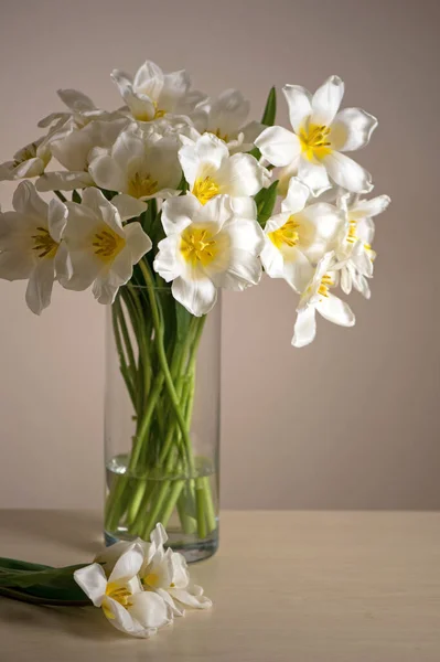 緑の孤立した花とガラス花瓶の新鮮な白い花の花束 白い木のテーブルの上の花瓶の白い春のチューリップ — ストック写真