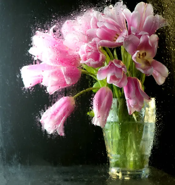 Růžové Tulipány Černém Pozadí Přes Mokré Sklo — Stock fotografie