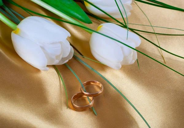 真っ白なチューリップと結婚指輪 — ストック写真