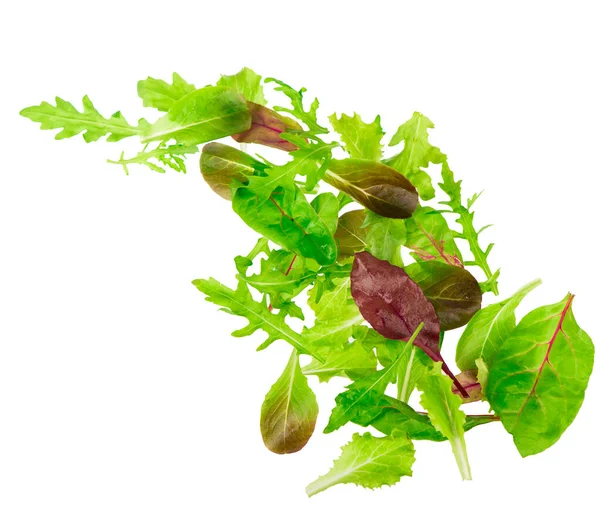 白に隔離されたグリーンレタスサラダの葉 — ストック写真
