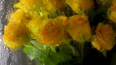 Bir buket gül. Islak camda sarı güller. Yağmurlu bir hava. Pencereden yağmur yağıyor.