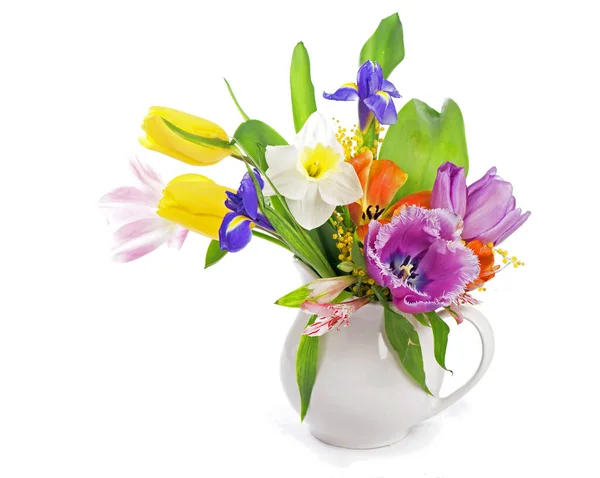 Весняні Квіти Ізольовані Білому Тлі — стокове фото