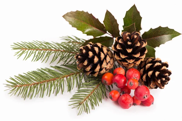 Christmas Seasonal Border Holly Mistletoe Sprigs Pine Cones White Background — Stock Photo, Image