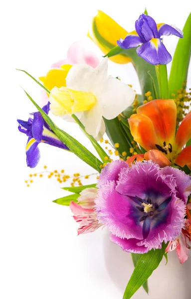 Jarní Květiny Izolovaných Bílém Pozadí — Stock fotografie