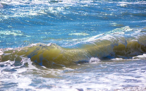 Meer Welle Möwen Der Küste Ein Strand Aus Nächster Nähe — Stockfoto