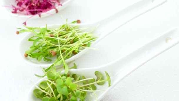 Micro Groene Spruiten Lepels Verse Biologische Producten Restaurant Serveert Concept — Stockvideo