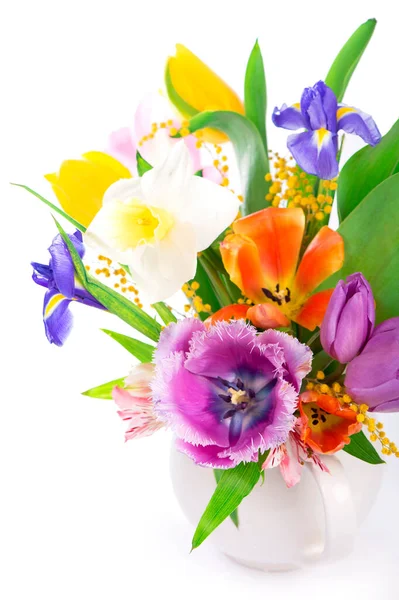 Spring Flowers Isolated White Background — Stock Photo, Image