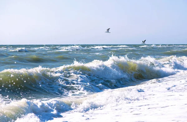 アゾフの海 水の端 海洋自然背景 — ストック写真