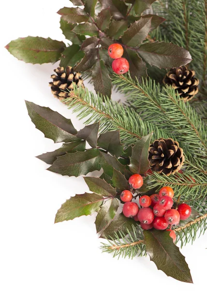 Weihnachten Saisonale Borte Aus Stechpalme Mistel Zweigen Mit Tannenzapfen Auf — Stockfoto