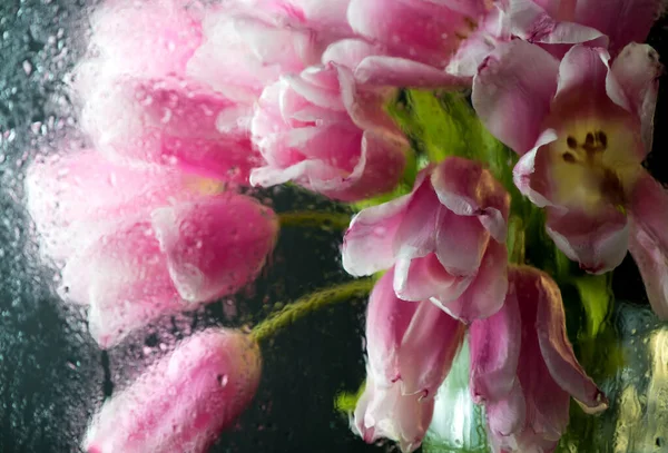Leuchtende Frühlingsblumen Rosa Tulpen Durch Nasses Glas Auf Schwarzem Hintergrund — Stockfoto