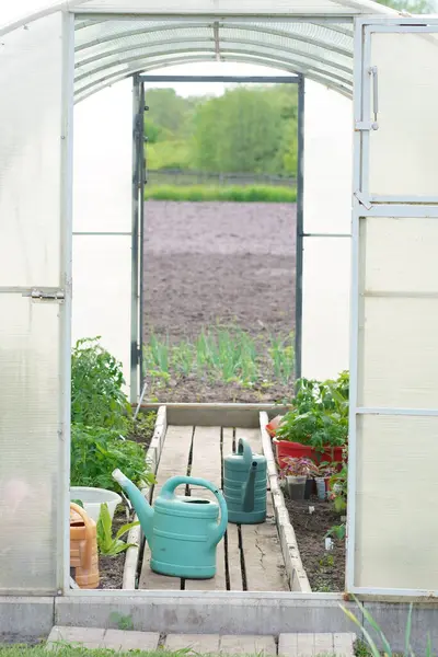 温室で野菜を栽培するための装置 温室で働くためのツール 農業について — ストック写真