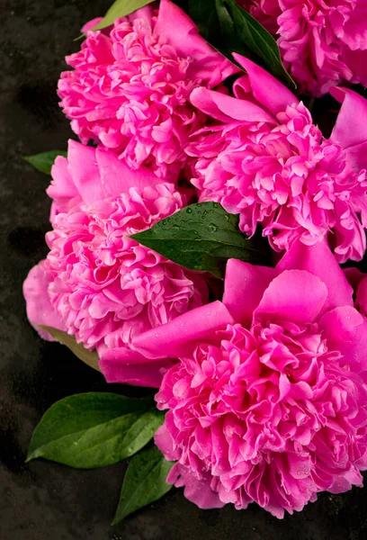 Ροζ Λουλουδάτο Φόντο Φόντο Μπουκέτο Από Όμορφα Ροζ Παιώνιες Ανθισμένα — Φωτογραφία Αρχείου