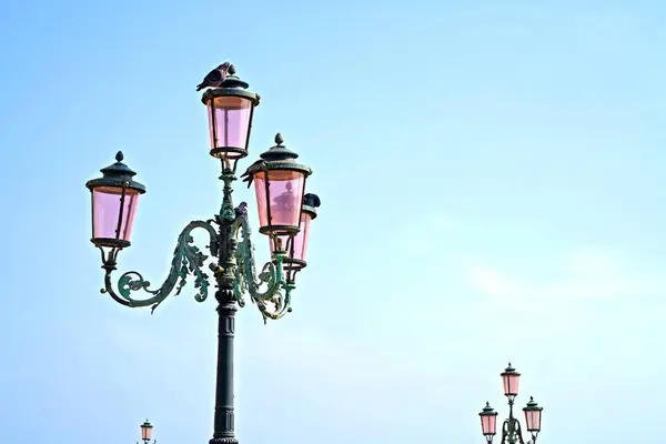 The famous pink lights of Venice. Four lamps with pink glass are on an ornate black metal lamp post.
