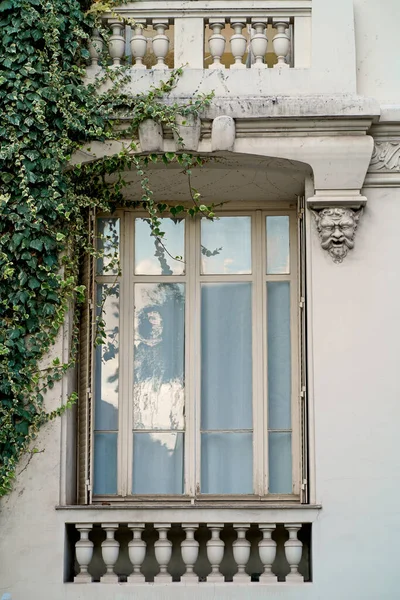 An ivy-covered window of a French villa. Wooden window with shutters