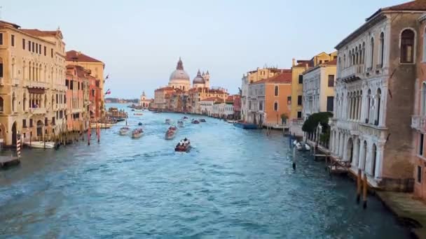 Vue Imprenable Sur Les Toits Venise Avec Grand Canal Basilique — Video