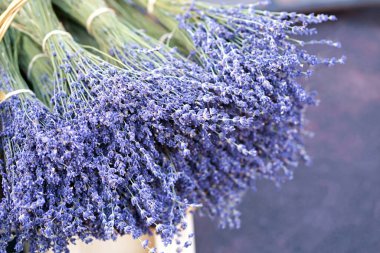 Frenli kurutulmuş lavanta çiçekleri, lamiaceae naneli aile bitkisi. Açık mor renk. Küçük doğal mor elementlerin deseni. Aromatik Akdeniz ürünü.