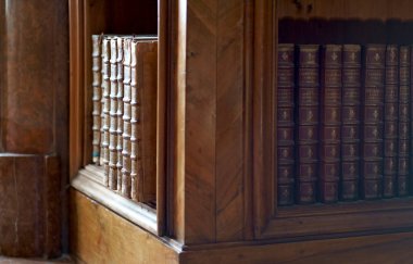 Hofburg Sarayı 'nın Neue Burg Kanadı' ndaki Avusturya Ulusal Kütüphanesi 'nin içinde. Devlet Binası ya da Prunksaal. Osterreichische Ulusal Kitap