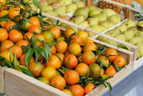 Boxes with tangerines. Fresh mandarin oranges or tangerines fruit with leaves in boxes at the open air local food market. Wholesale depot of exotic fruits.