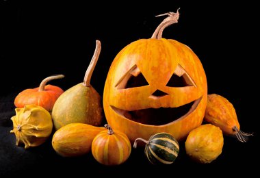 siyah arka plan üzerine izole halloween kabaklar