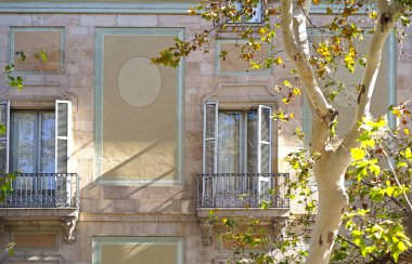 Güzel pencereler. Panjurlu güzel pencereler. Pencere pervazı, beton duvarı ve güneşli bir günü olan güzel ahşap pencereler.