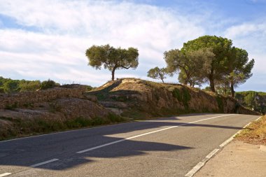 İspanya. Yolun kenarına. Güzel ağaçlar. Yol manzarası