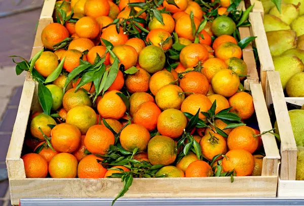 Fresh oranges or tangerines fruit with leaves in boxes at the open air local food market. Wholesale depot of exotic fruits. Local produce at the farmers market.