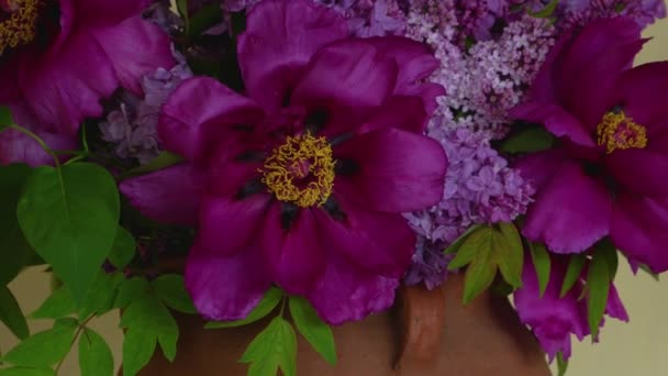 Velké Jemné Purpurové Květy Pivoňských Šeříkových Větví Stojí Velké Hliněné — Stock video