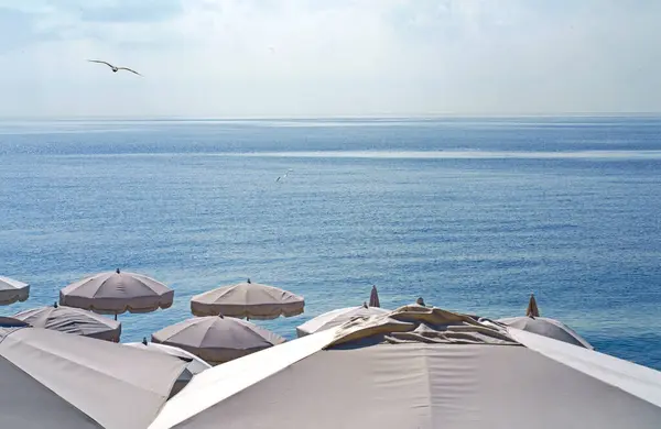 Στη Γαλλία Ωραία Ωραία Παραλία Ξαπλώστρες Λευκές Ομπρέλες Και Φοίνικες Εικόνα Αρχείου