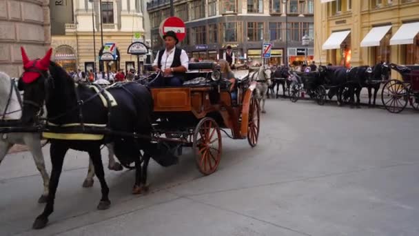 Відчуйте Чарівність Відня Центральних Вулицях Традиційною Кінною Прогулянкою Ностальгічною Подорожжю — стокове відео