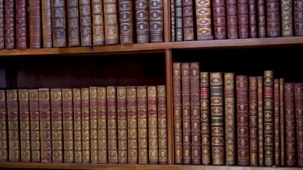 奥地利国立图书馆 州府或普伦萨尔 Osterreichische National Bibliothek 我们看到的是古代图书馆架子上的书 — 图库视频影像