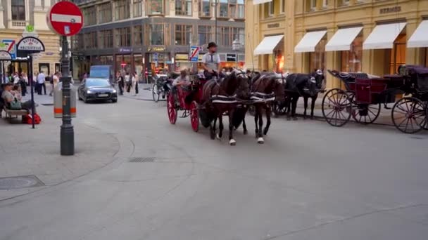 当您乘坐传统的马车沿着维也纳中心街道行驶时 您可以在维也纳市中心体验一段怀旧的旅程 让自己沉浸在这座城市的魅力中 在那里 历史和 — 图库视频影像