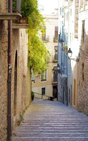 西班牙 加泰罗尼亚杰罗纳市的风景 Santa Mar Girona圣母院 图库图片