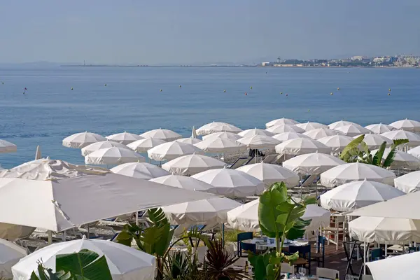 很好美丽的海滩 有海滩椅子 白色雨伞和棕榈树 美丽的大海衬托着奢华的海滩 图库照片