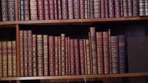 Boekenkasten Een Oude Weense Bibliotheek Oostenrijk Een Ader September 2023 — Stockvideo