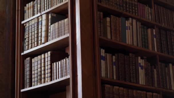 奥地利国立图书馆 州府或普伦萨尔 Osterreichische National Bibliothek 我们看到的是古代图书馆架子上的书 — 图库视频影像